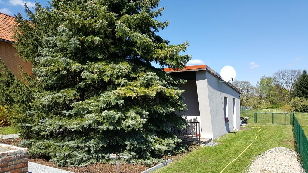 Fewo Schuetz Langewahl Exterior foto